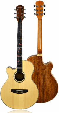 Fretlight Guitar FG-629 Left-Handed