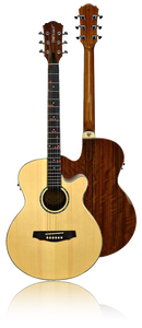 FG-629 Wireless Acoustic/Electric Guitar - The Fretlight Guitar Store