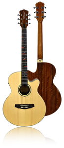 *EU/UK ONLY* FG-629 Wireless Acoustic/Electric Guitar - The Fretlight Guitar Store